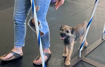 Book Sports Prep Class