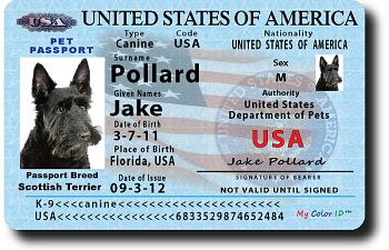 Book Puppy Passport