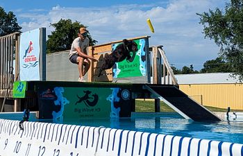 Book Dock Diving Lesson 1 Dog