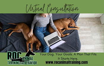 Book Virtual Consult