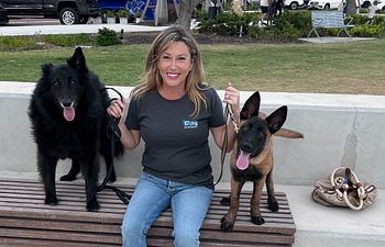Book Good Dog Manners Transformation 2 week Boarding Camp
