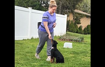 Book  2. Private: In-home Puppy Training Kickoff (up to 6 months old)