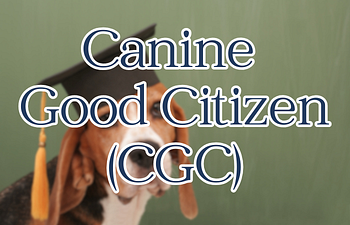Book Canine Good Citizen - CGC