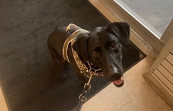 Book Public Access Test