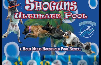 Book 1 Hour Multi-Household Pool Rental