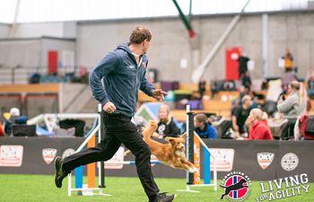 Book Petr Pupik - Young Dogs and Green Teams - Auditing Spot