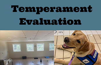 Book  Temperament Evaluation: Behavior Checklist and GDBart Testing 