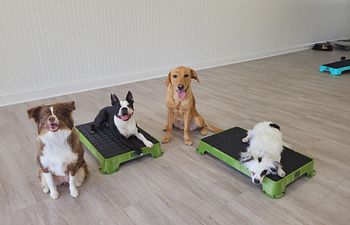 Book Day Training