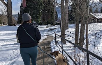 Book Training - GROUP CLASS - Group Walk or Hike (Reactive Dogs Welcome) - $20 +tax