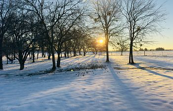 Book 45  Minute Nature Walk