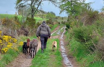 Book Practice Loose Lead Session