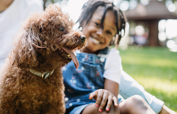 Book Kids and Dogs (2 Week)