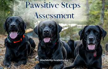Book Assessment Day - Pawsitive Steps Academy 