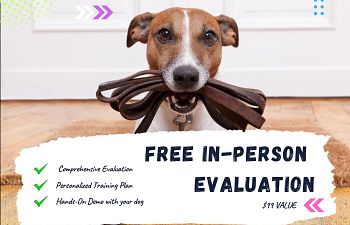Book **Limited Time Offer**  Free In-Person Evaluation - $99 Value