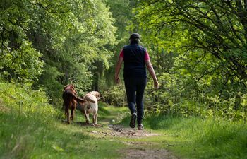 Book Follow-up and continuation 1-to -1 session (Westhill)