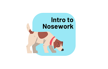 Book Intro to Nosework