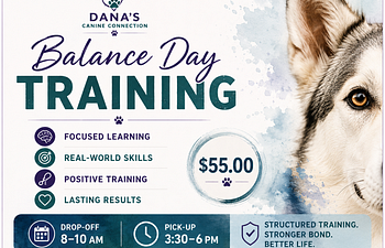 Book Balance Day Training