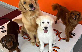 Book Drop & Shop | Trial 