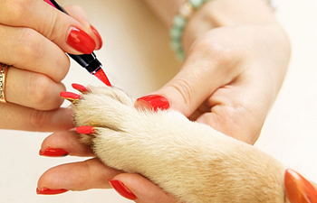 Book Diamond Pedicure 