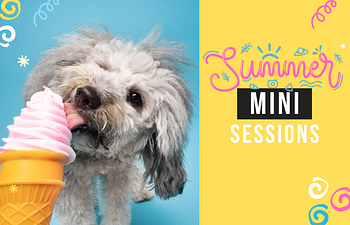 Book Mini Session