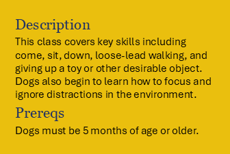 Book Foundation Skills I