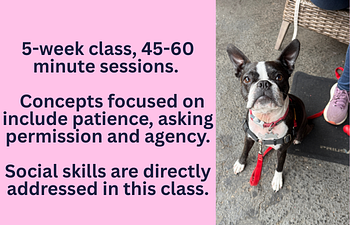 Book Adolescent dogs, ages 6-18 mos. - concepts and skills