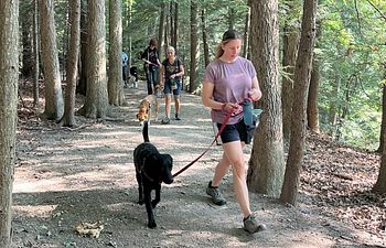 Book Pop Up! Leash Manners Tune-up