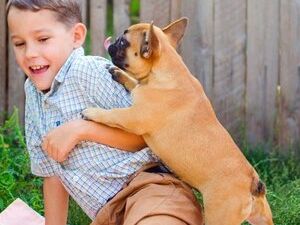 Book No Jumping Class (3/11/26) 7:15 pm