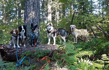 Book Out & About! on the trail