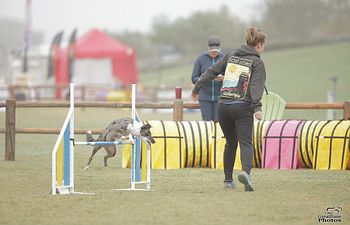 Book International Competition Agility 