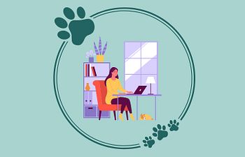 Book Virtual Coaching Call