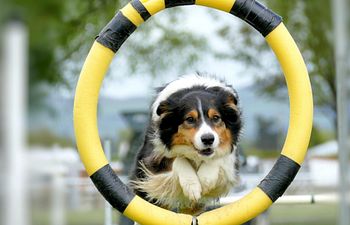 Book Agility Foundations - Group Class - 6 x one hour sessions over 6 weeks