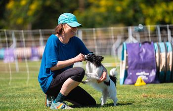 Book Private Behavior Lesson - Follow-up lesson