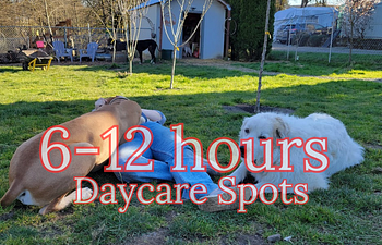 Book (2) Full Daycare