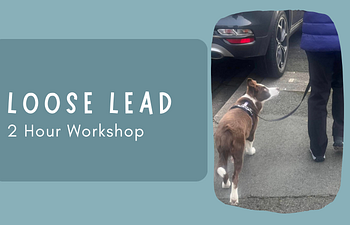 Book Workshop: Loose Lead