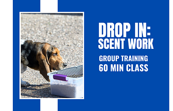 Book Drop In: Scent Work