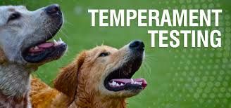 Book Temperament Evaluation 