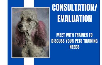 Book Consultation/Evaluation