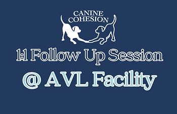Book Follow Up Session (AVL Facility)