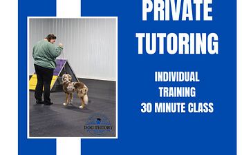 Book Private Tutoring 30 Min 