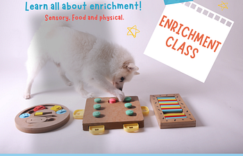 Book Enrichment 101