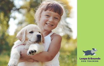 Book Puppy Pre School Class