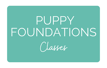 Book Puppy Foundations