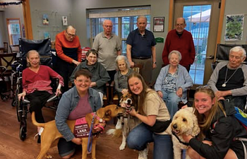 Book STEP 2 - Therapy Dog Certification Class