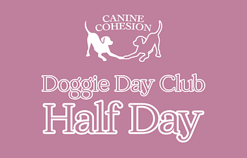 Book Day Club Half Day PM