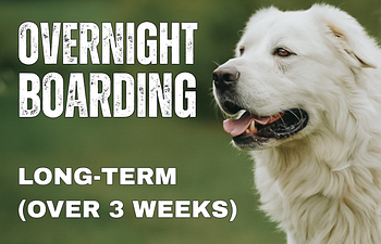 Book Overnight Boarding  R/L/T