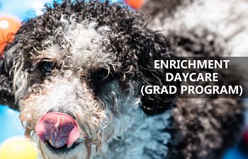 Book Enrichment Daycare (Grads only)