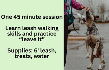 Book Practice Session: Leash  Walking & Leave It