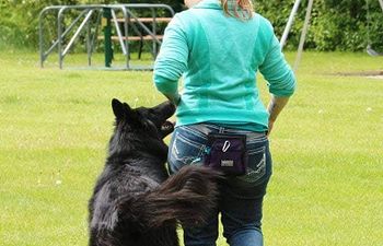 Book Training - GROUP CLASS - Fancy Feet: Heeling & Rally Obedience