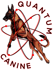 Quantum Canine